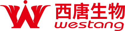 主页-恢复的_03.png